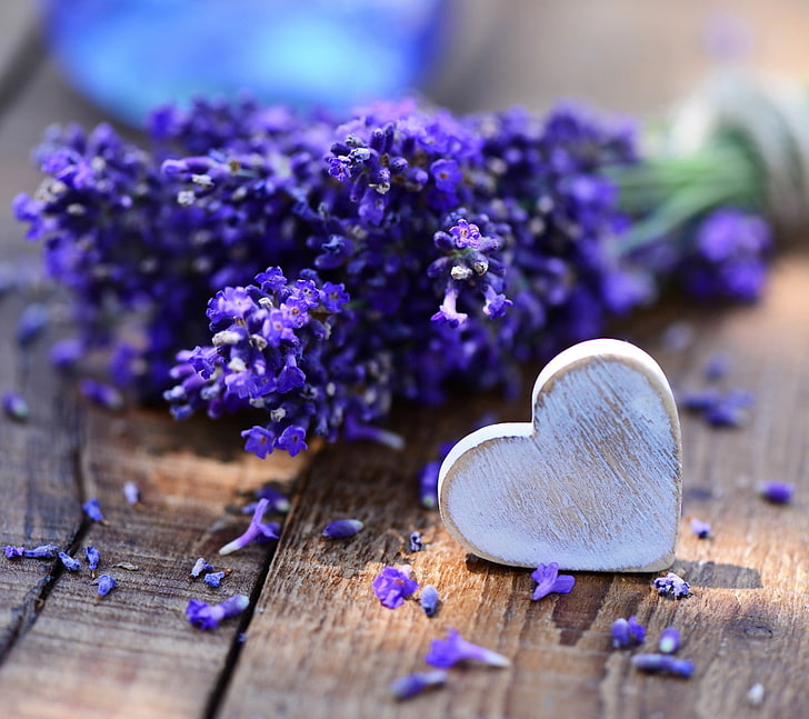 The Weight of Unrecognized Love The Weight of Unrecognized Love